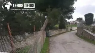 Λέρος: Κινήθηκαν άμεσα, Δήμος – Νοσοκομείο, για το επικίνδυνο πεύκο στο Λακκί!