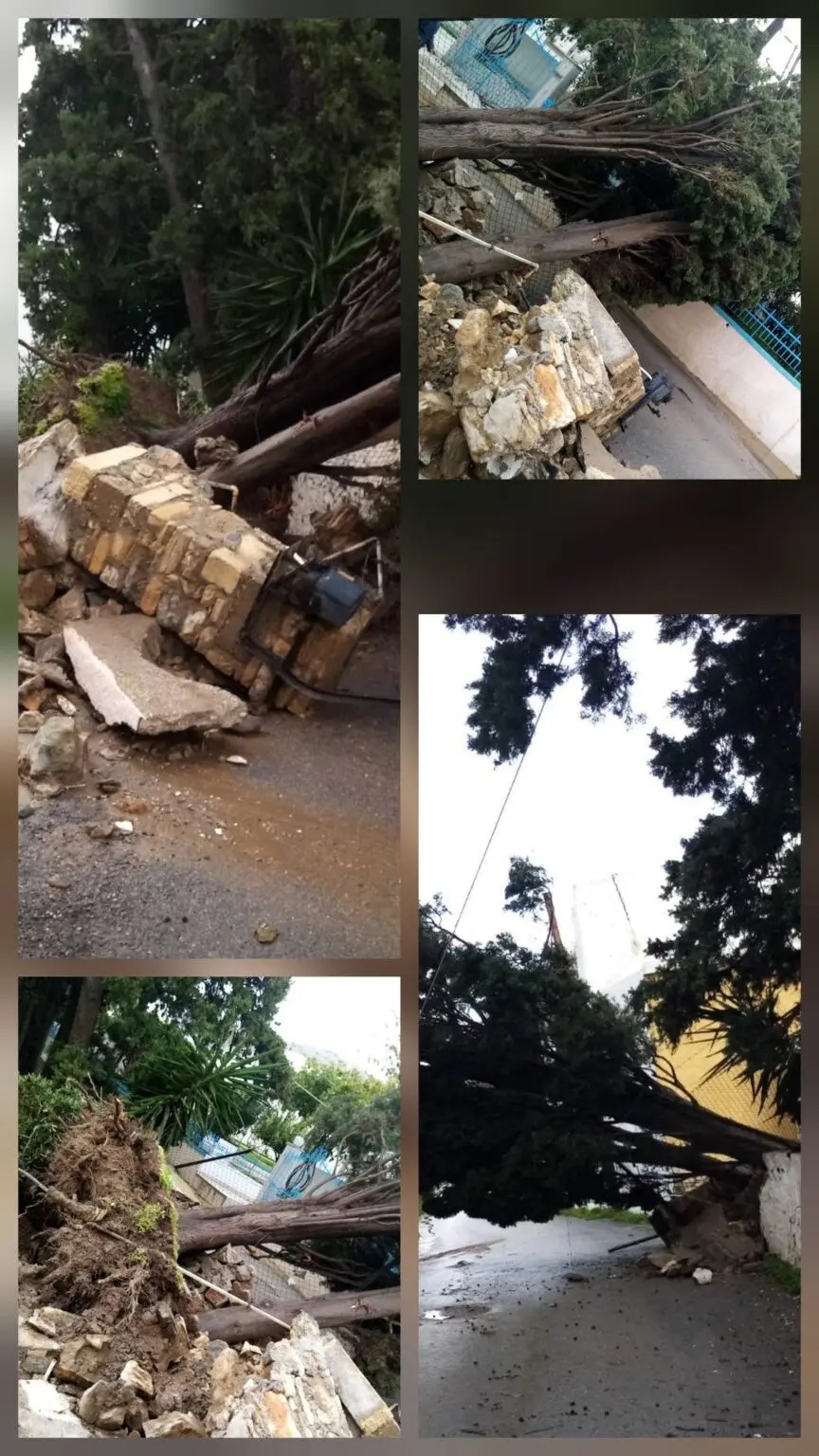 Λέρος &#8211; Προσοχή: Πτώσεις και ξεριζώματα δέντρων από τους ισχυρούς ανέμους