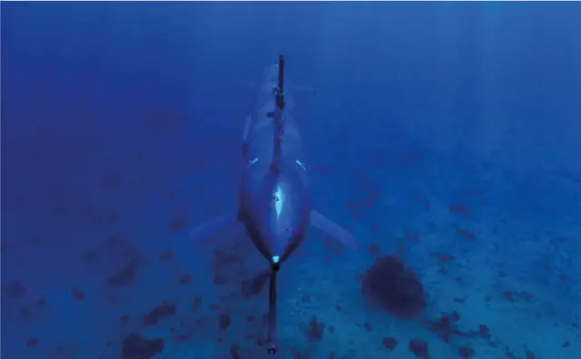 Πολεμικό Ναυτικό: Έρχονται οι «Μπλε Φάλαινες» – Τα μη επανδρωμένα ισραηλινά υποβρύχια αλλάζουν τον συσχετισμό δυνάμεων στο Αιγαίο