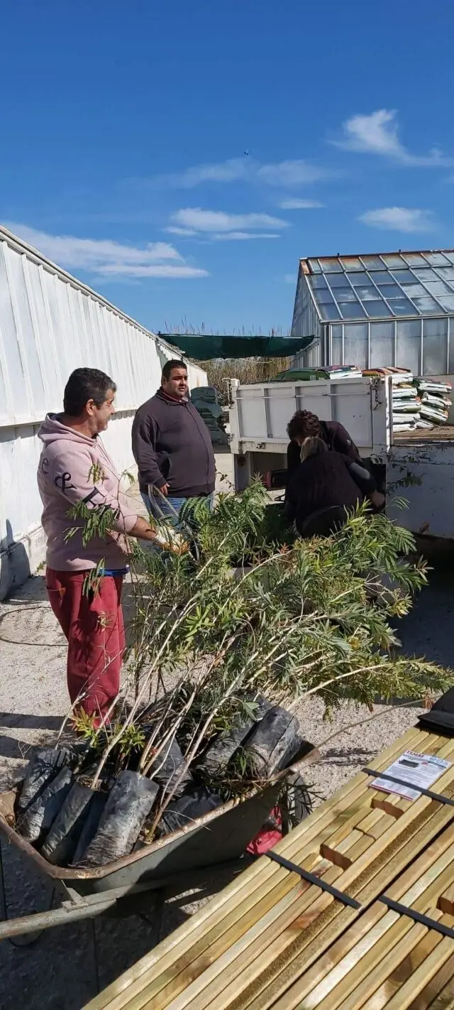 2.700 δασικά και καλλωπιστικά φυτά από το Περιφερειακό Φυτώριο αλλάζουν το περιβάλλον και το μέλλον των νησιών