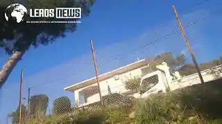 Λέρος: Κλαδεύτηκε το επικίνδυνο Πεύκο στο Λακκί από τον Δήμο