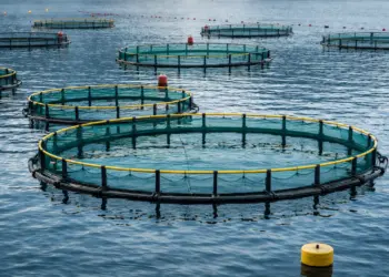 Χωροταξική oργάνωση για την ελληνική θαλάσσια υδατοκαλλιέργεια