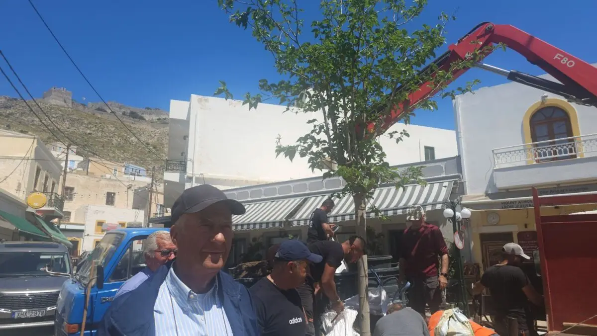 Λέρος: Αποκαταστάθηκε το δέντρο στην πλατεία Πλατάνου