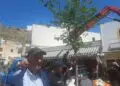 Λέρος: Αποκαταστάθηκε το δέντρο στην πλατεία Πλατάνου