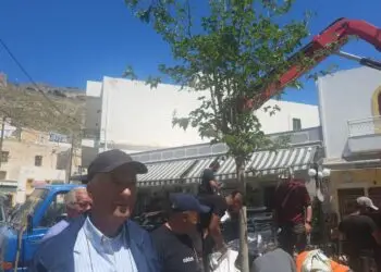 Λέρος: Αποκαταστάθηκε το δέντρο στην πλατεία Πλατάνου