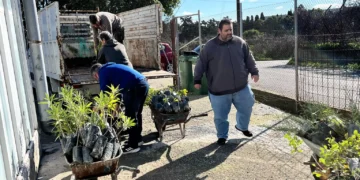 Η Περιφέρεια Νοτίου Αιγαίου επενδύει έμπρακτα στο πράσινο