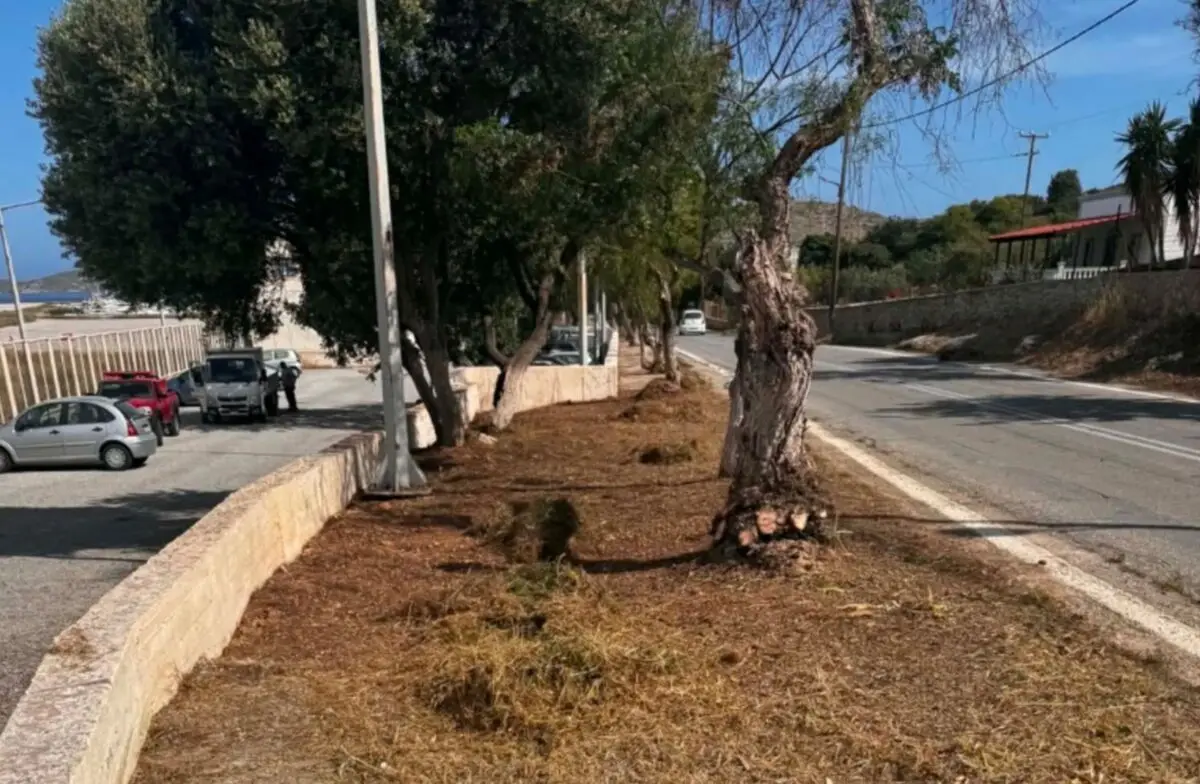 Δήμαρχος Λέρου: Εκτεταμένες εργασίες καθαριότητας και ευπρεπισμού στον εξωτερικό χώρο του αεροδρομίου