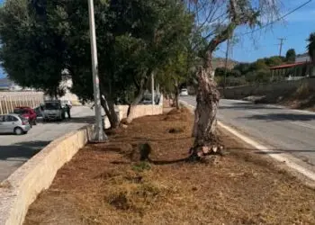 Δήμαρχος Λέρου: Εκτεταμένες εργασίες καθαριότητας και ευπρεπισμού στον εξωτερικό χώρο του αεροδρομίου