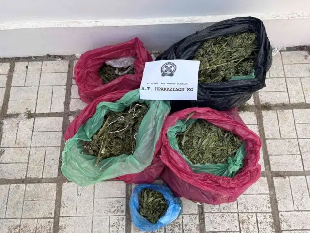 Κως: Εντοπίστηκαν 78 δενδρύλλια κάνναβης σε αγρόκτημα