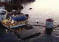 Η Λέρος στον γαστρονομικό χάρτη της Ελλάδας: Διακρίθηκαν Mylos by the Sea και Σέρζα