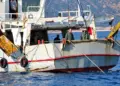 Πραγματική Βιωσιμότητα της Αλιείας: Ας ανοίξει η συζήτηση επί της ουσίας